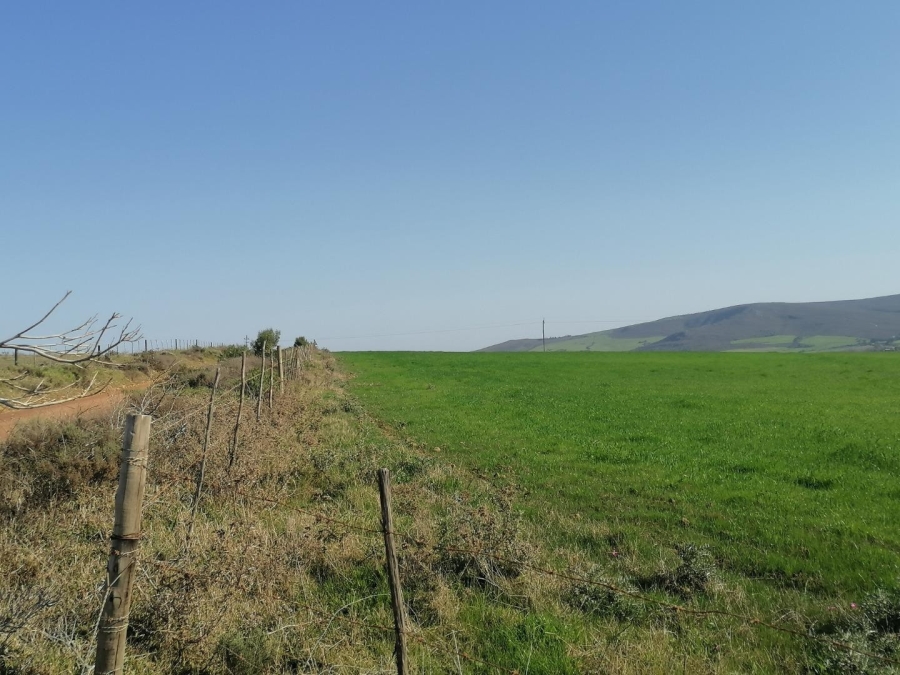 Commercial Property for Sale in Baardskeerdersbos Western Cape